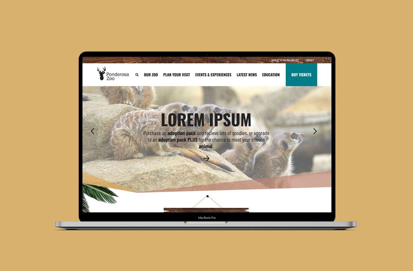 Ponderosa Zoo website mockup